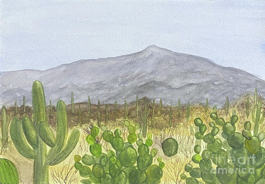 Sonoran Desert Painting by Lisa Neuman