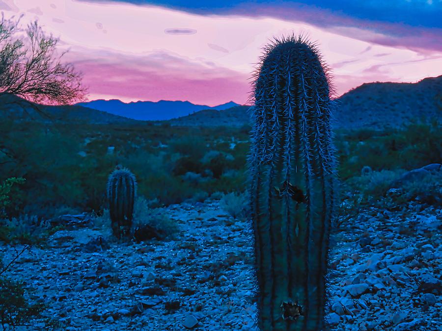 Sonoran Desert Nightfall Photograph by Judy Kennedy