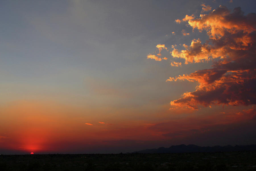 Sonoran Desert Sky Photograph by Jason Judd