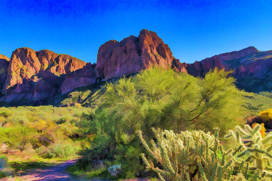 Sonoran Desert Splendor Photograph by Lorraine Baum