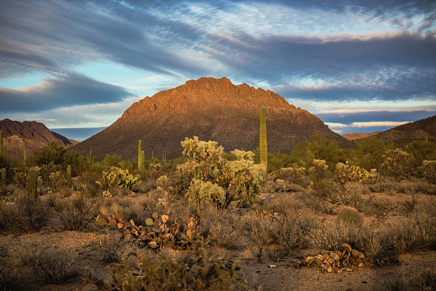 Sonoran desert sunset Photograph by John Heywood