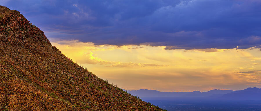 Sonoran Desert Symphony Photograph by Chris Anson