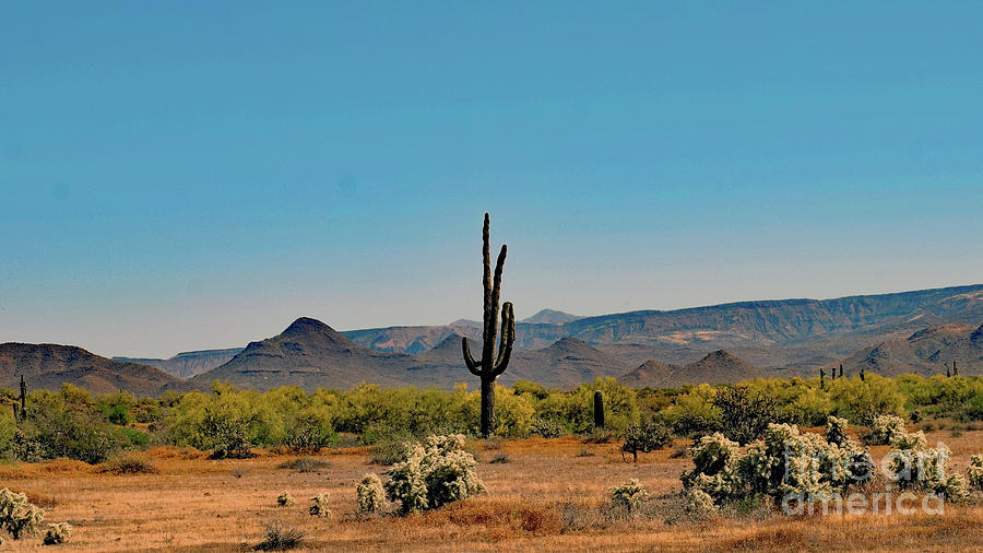 Sonoran Landscape 6320 Photograph by David Ragland