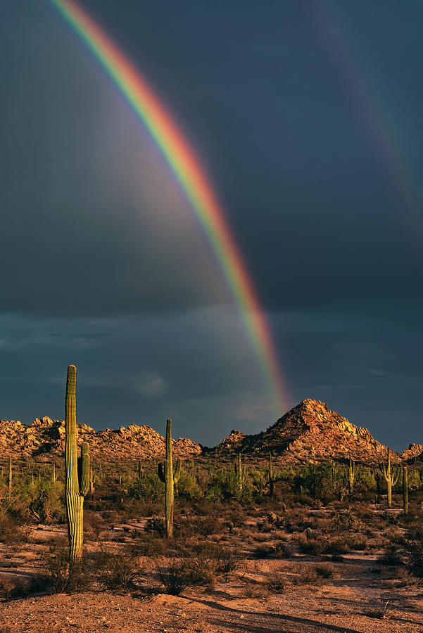 Sonoran Rainbow  Photograph by Saija Lehtonen