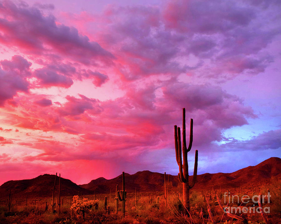 Sonoran Summer Sunset Photograph by Douglas Taylor