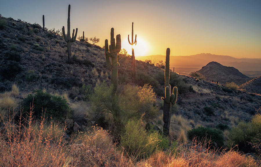 Sonoran Sunrise no. 7 Photograph by Eric Mischke - Fine Art America