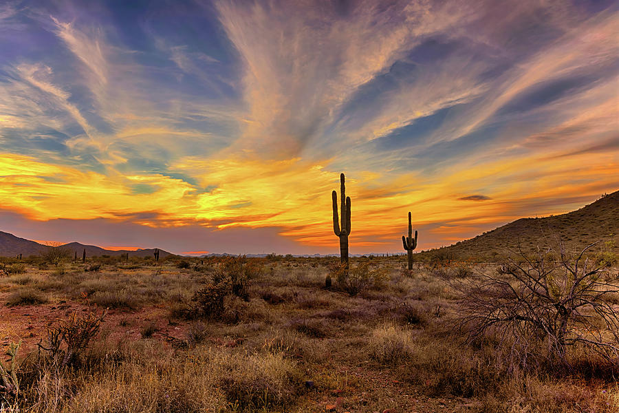 Sonoran Sunset Photograph by Bob Falcone - Fine Art America