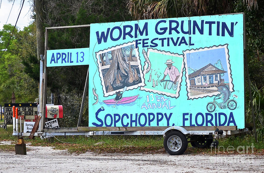 Sopchoppy Worm Gruntin Festival Photograph