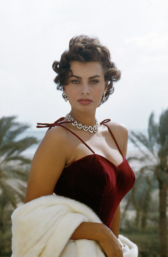 Sophia Loren Breathtaking Legend of the Lost Glamour Pose Photograph by Silver Screen Sophia Loren Breathtaking Legend of the Lost Glamour Pose Photograph by Silver Screen