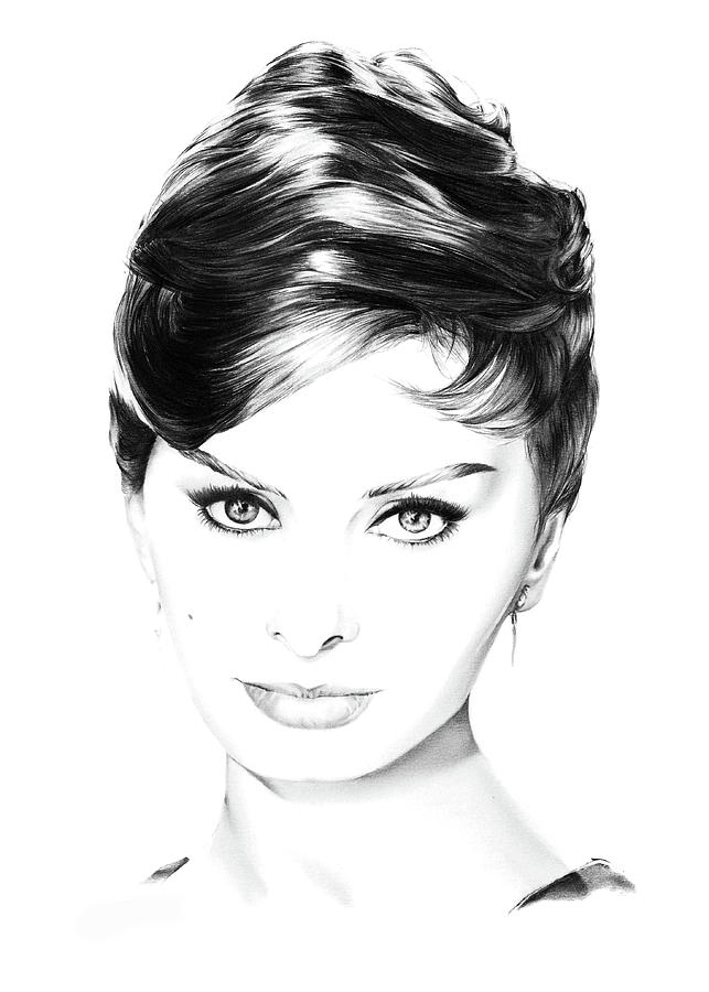 Hollywood Drawing - Sophia Loren by Dirk Richter