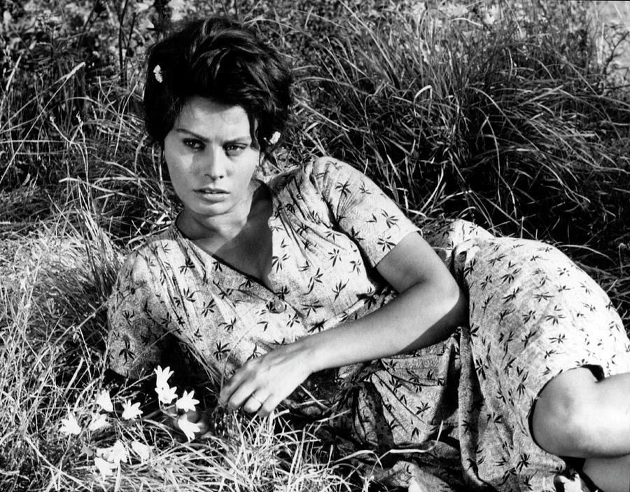 SOPHIA LOREN in TWO WOMEN -1960- -Original title LA CIOCIARA-, directed by VITTORIO DE SICA. Photograph by Album