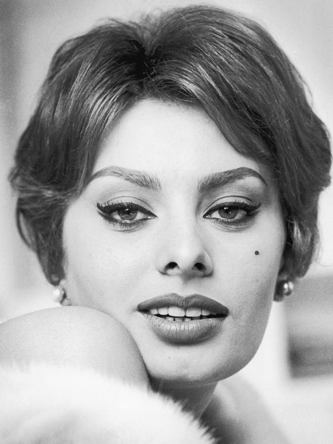 Sophia Loren Italian Actress Portrait Digital Art by Myronchuk Lidia