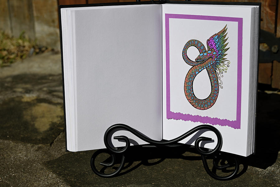 Sophia Winged Snake Journal entry Photograph by Katherine Nutt