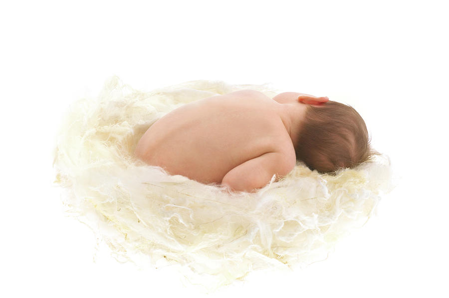 Soft Photograph - Sophie in a Soft Nest by Anne Geddes