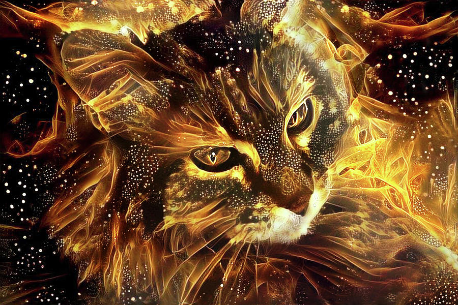 Cat Digital Art - Sophie the Norwegian Forest Cat by Peggy Collins