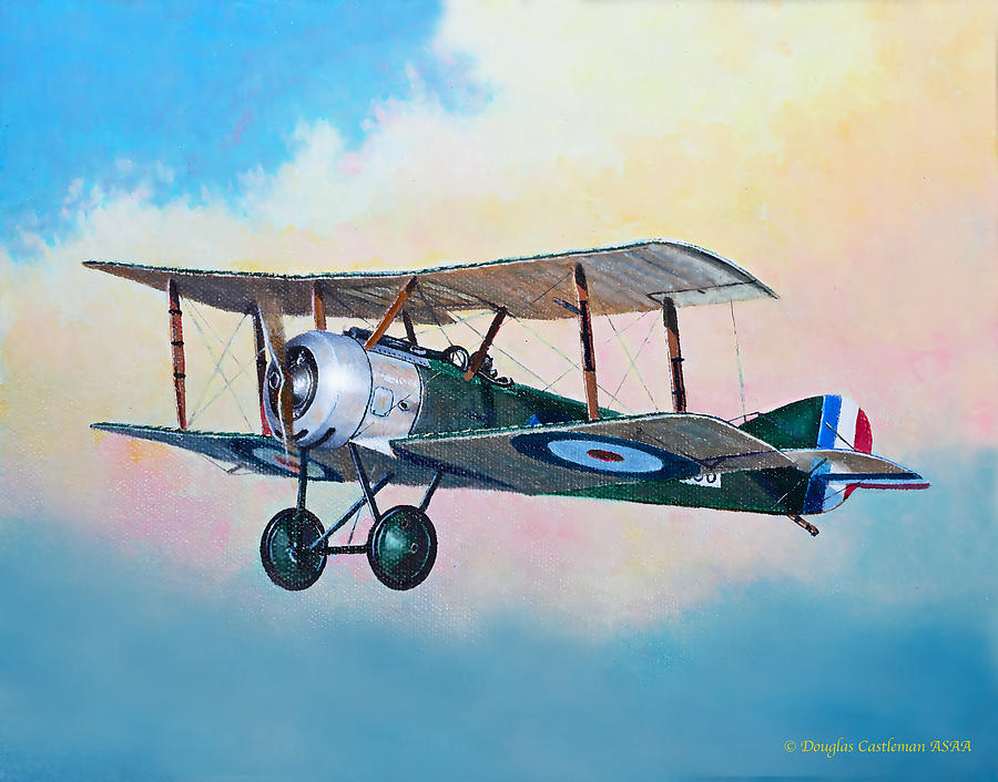 Sopwith Pup Fighter Painting by Douglas Castleman