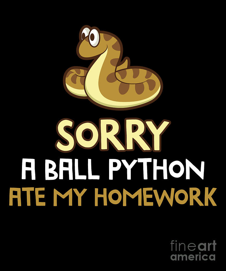 funny python