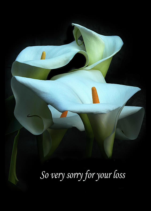 Sorry For Your Loss with Lilies Photograph by Peggy Kahan