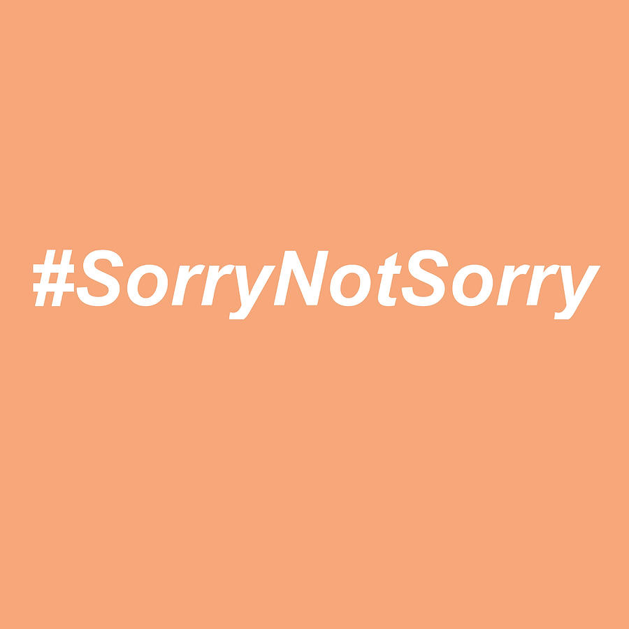 Sorry Not Sorry Poster gift Painting by Roberts Graham - Fine Art America