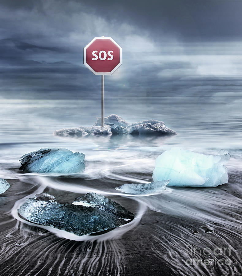 Nature Digital Art - SOS by Jacky Gerritsen
