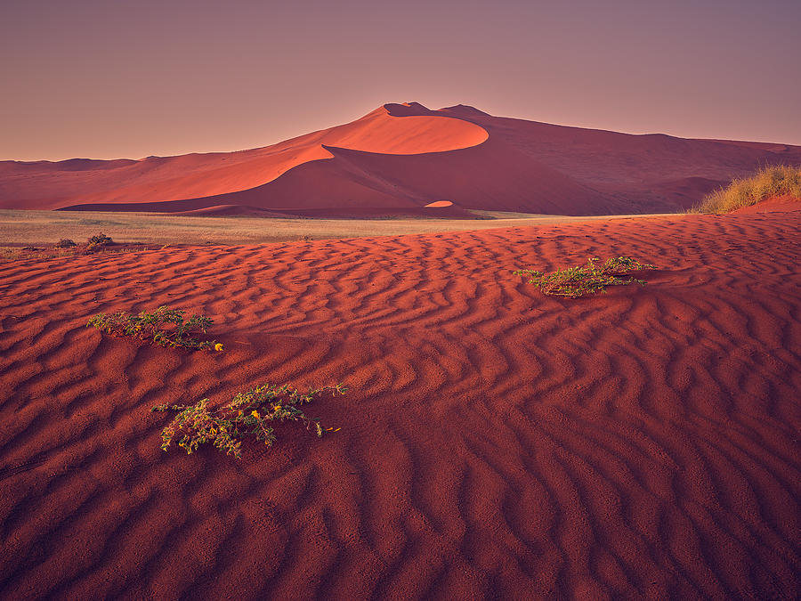 Sossusvlei at Dawn Photograph by Peter Boehringer