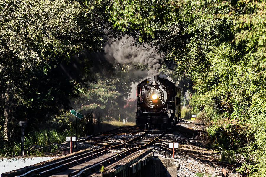 SOU 4501 Baldwin 2-8-2  Pyrography by Steelrails Photography