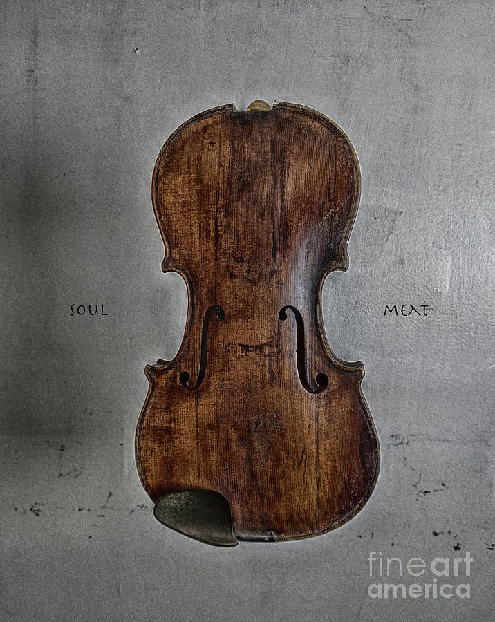 Violin Photograph - Soul Meat by Steven Digman Violin Photograph - Soul Meat by Steven Digman