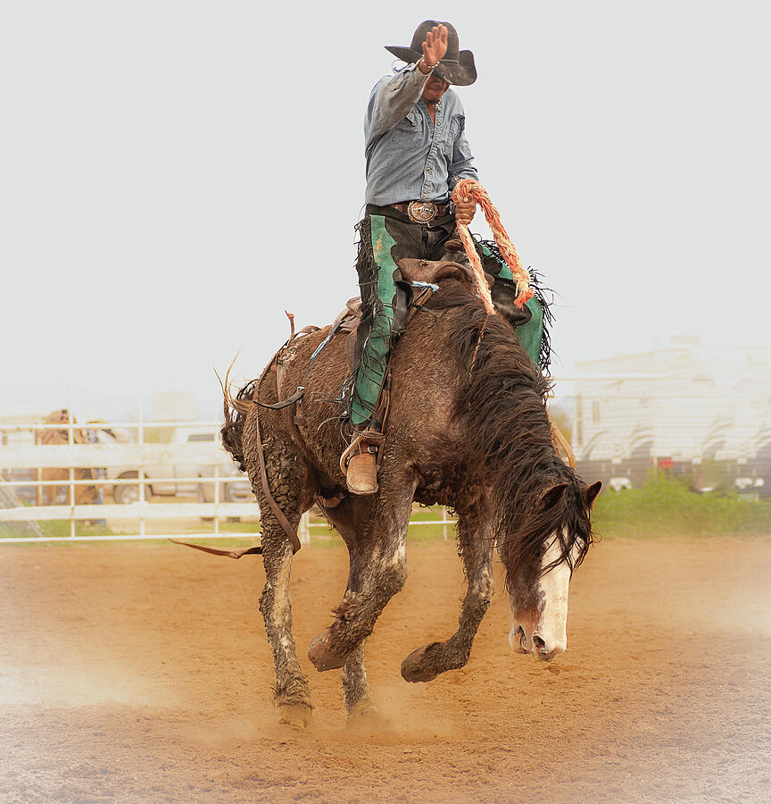 Soul of Rodeo Photograph by Kelly Markus Soul of Rodeo Photograph by Kelly Markus