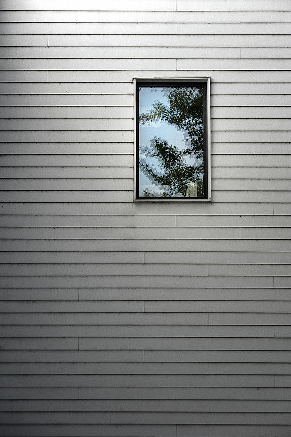 Soul Window Photograph by Scott Norris