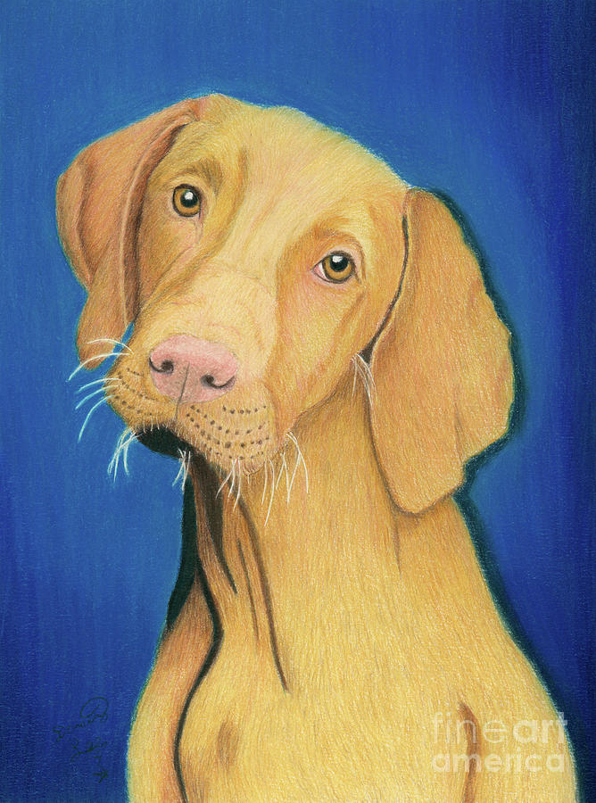 Soulful Eyes Painting by Dorothy Lee