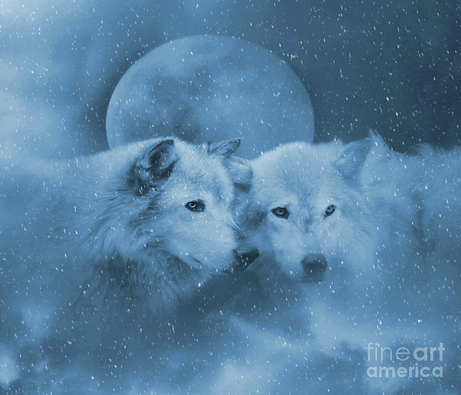 Soulmates Two Wolves in the Snow With Moon Photograph by Stephanie Laird