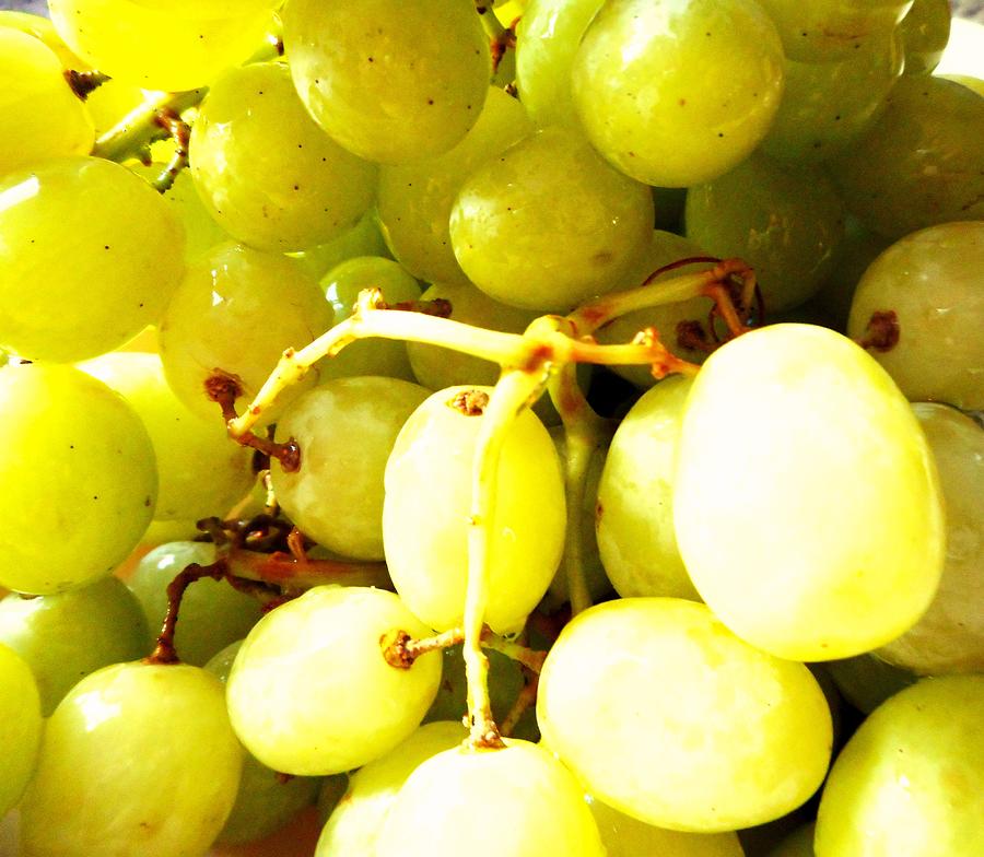 Sour Grapes Photograph by Dietmar Scherf
