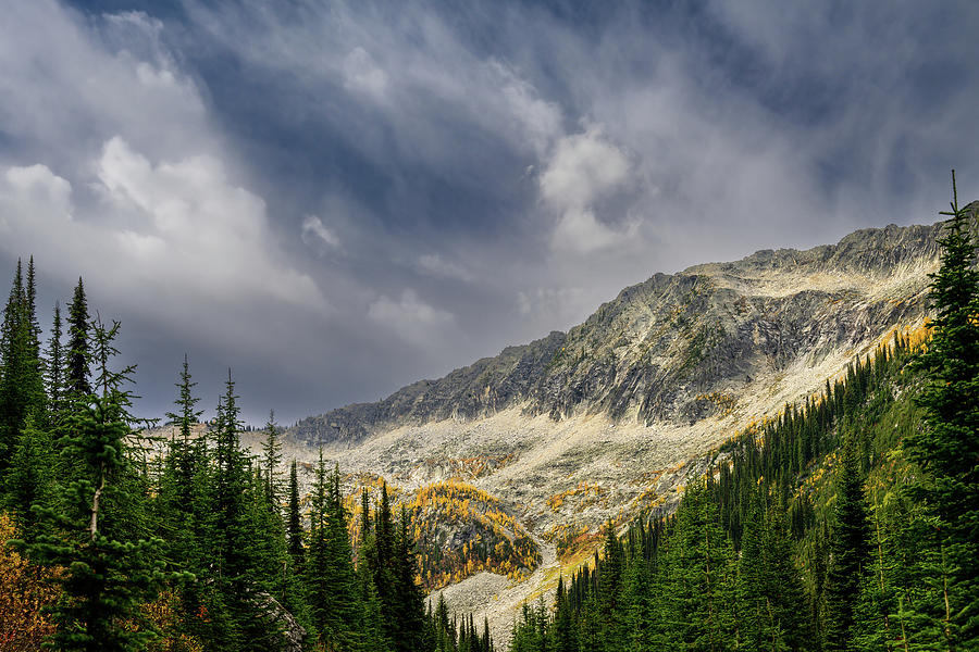 Sourdough Ridge in Fall Photograph by Ursula Abresch