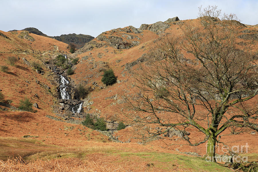 Sourmilk Gill Easedale Photograph by Bryan Attewell