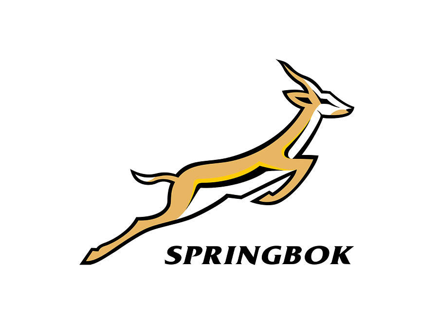 South Africa Rugby The springbok Digital Art by Laila Mayak | Pixels