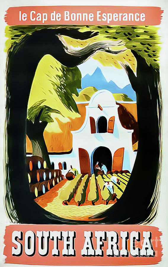 South Africa Wine Vineyard Poster 1952 Drawing