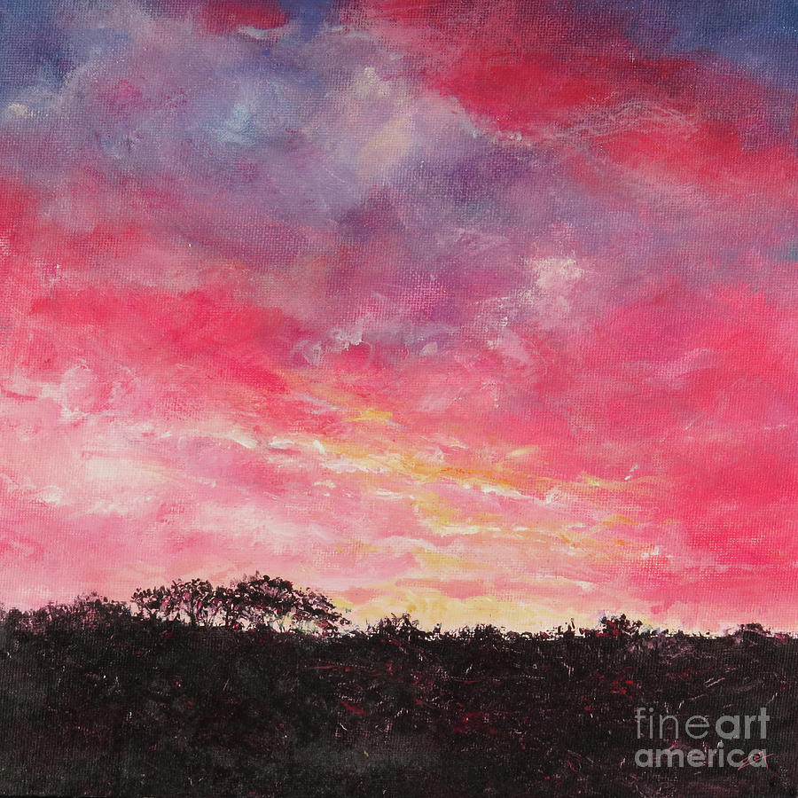 Sunset Painting - South African Sky by Zan Savage