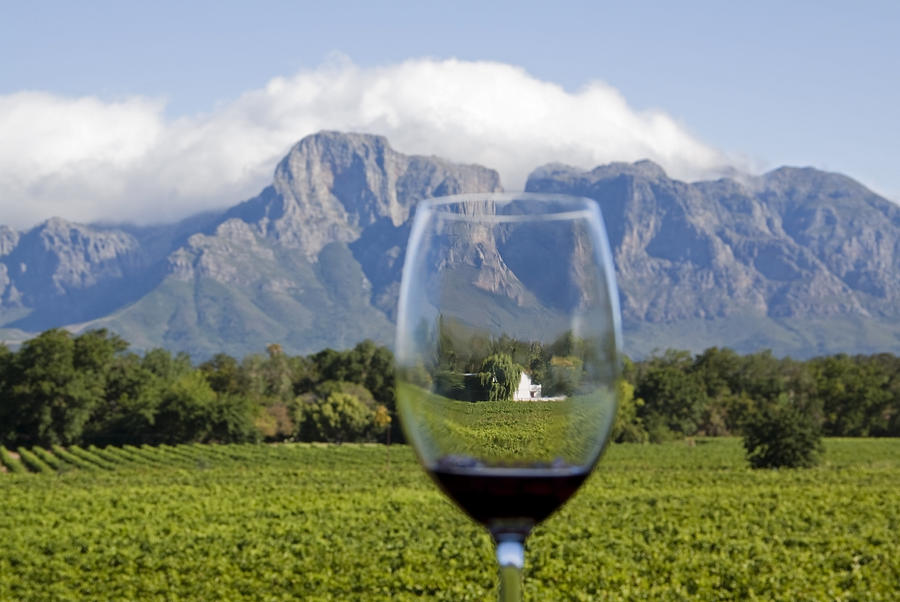South African Wine Country Photograph by WLDavies