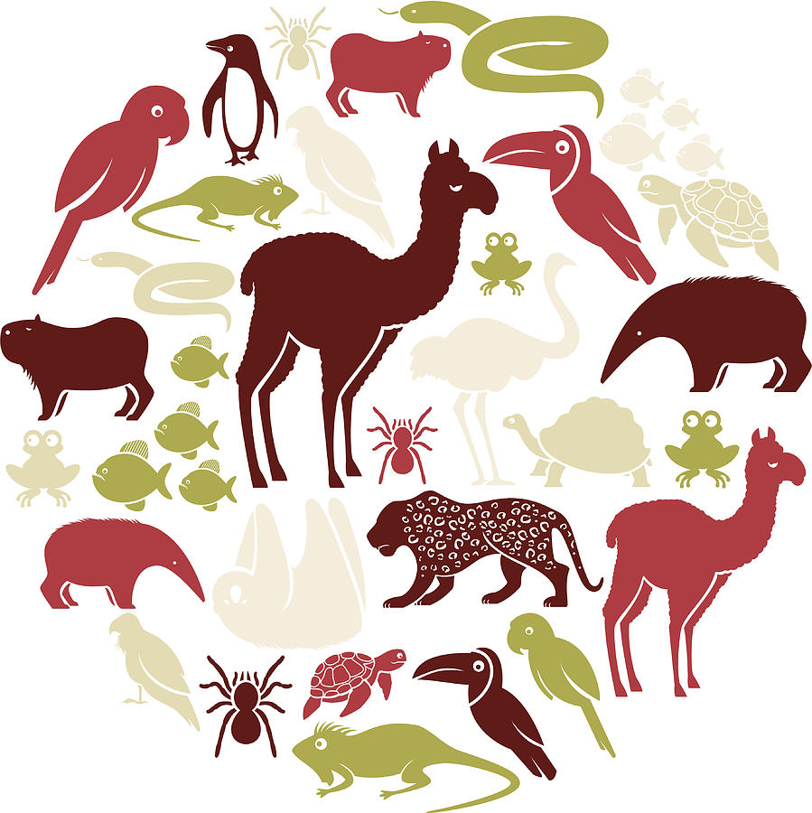 South American Animal Icon Set Drawing by TheresaTibbetts