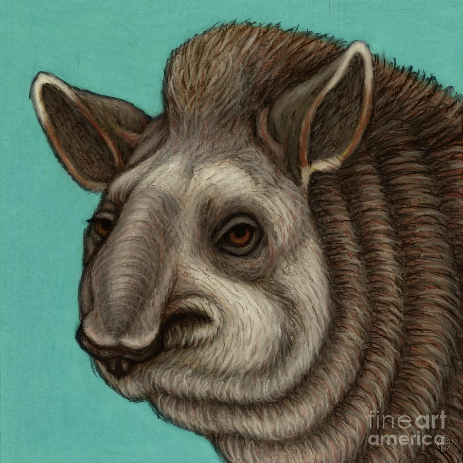 South American Tapir  Painting by Amy E Fraser