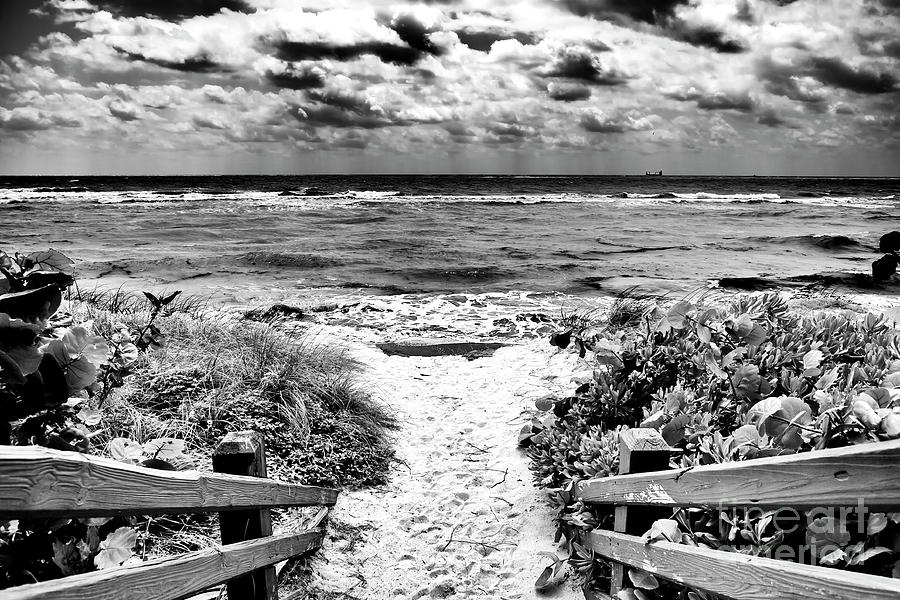 South Beach Entry in Florida Photograph by John Rizzuto