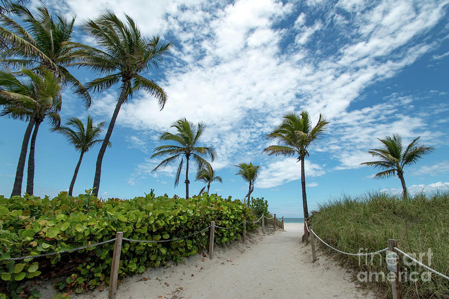 South Beach Miami, Florida Beach Entrance with Palm Trees Photograph by Beachtown Views