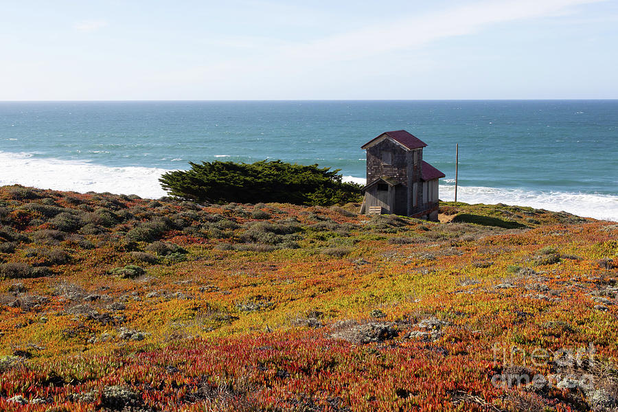 South Beach Point Reyes California R1893 Photograph by San Francisco