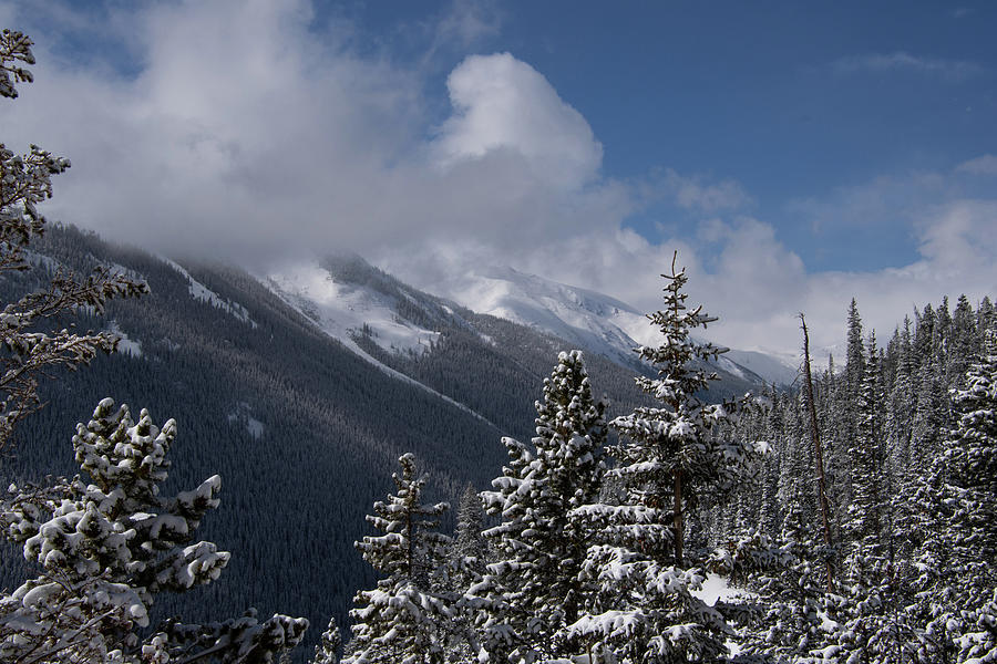 South Berthoud Pass Winter Landscape Photograph by Cascade Colors