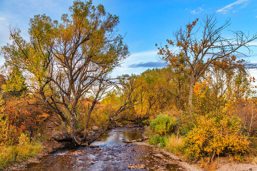 South Boulder Creek In Eldorado Springs Photograph by Lorraine Baum