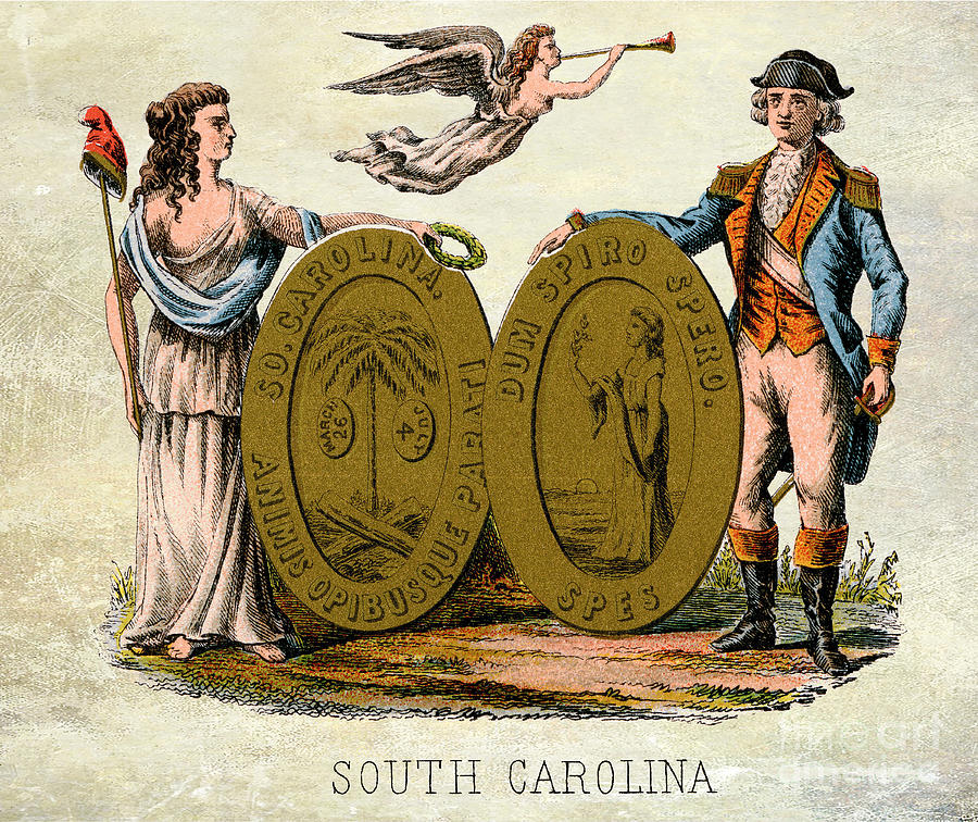 South Carolina Coat of Arms 1876 Photograph by Jon Neidert
