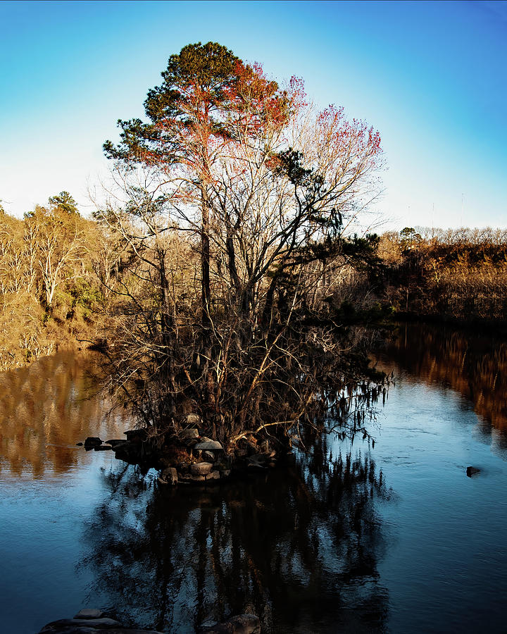 south Carolina creek 01 Photograph by Flees Photos