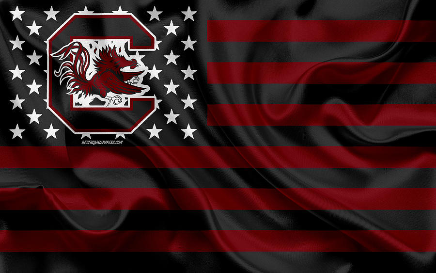 South Carolina Gamecocks American football team creative American flag ...
