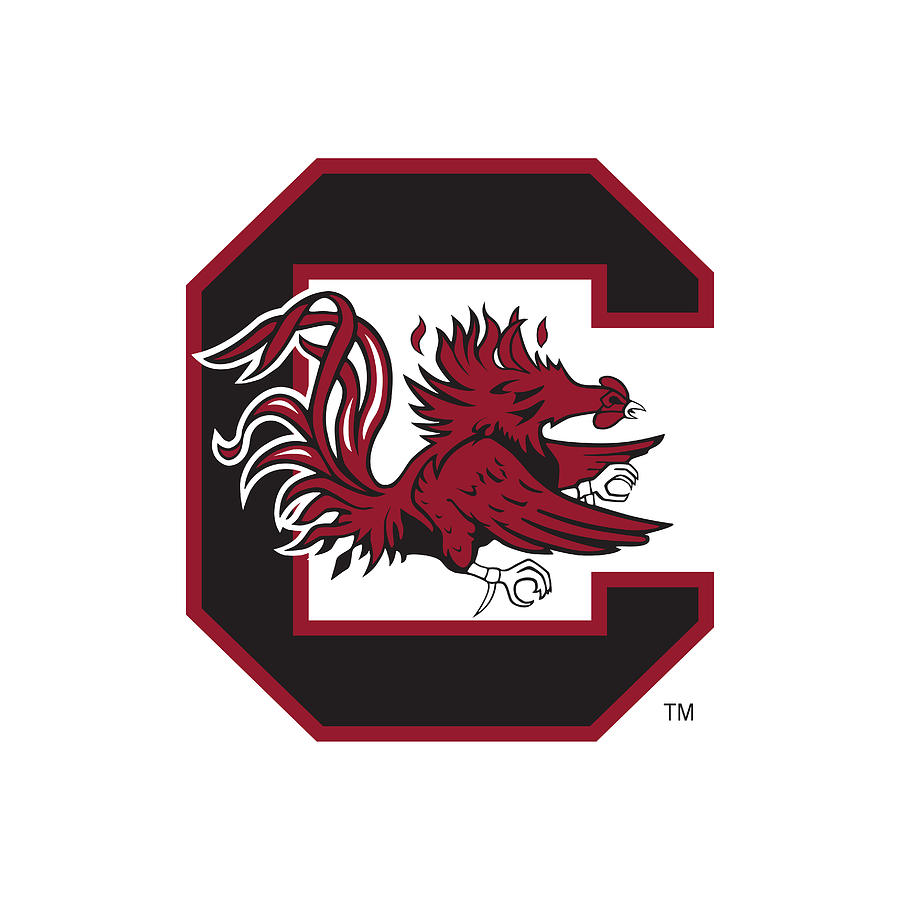 Gamecock Baseball Notebook – University of South Carolina Athletics