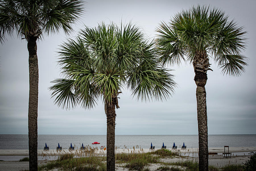South Carolina-Not a Beach Day Photograph by Judy Wolinsky